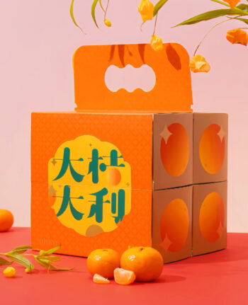 Mika CNY gift set hampers cookies