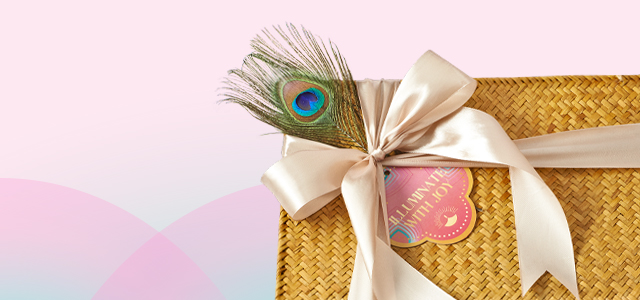 2025-DPVL-Corporate-Equiry-Image-640-x-300px-Desk-Ver